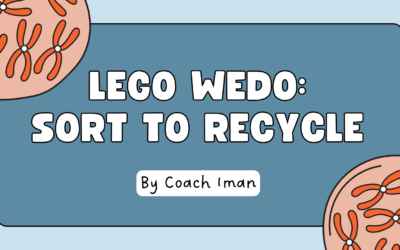 Lego : Sort To Recycle