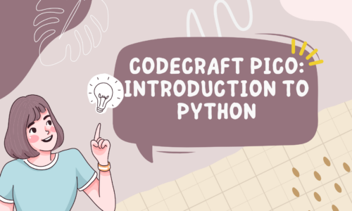 Codecraft Pico: Introduction to Python